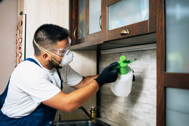 Best Pest Prevention Services  in Weldon, CA