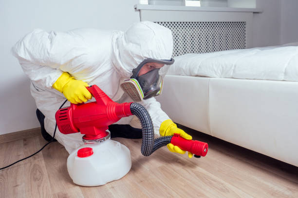 Best Best Pest Control Companies  in Weldon, CA