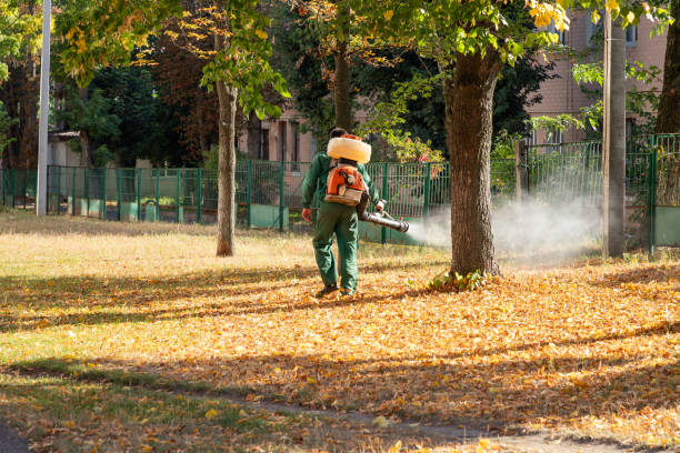 Professional Pest Control in Weldon, CA