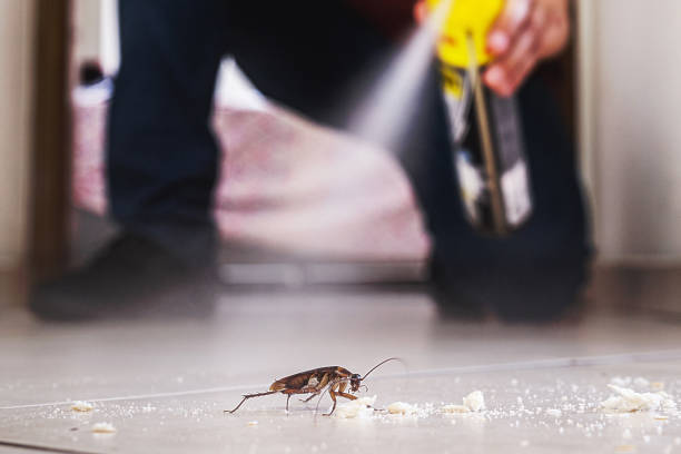 Best Flea Control Services  in Weldon, CA