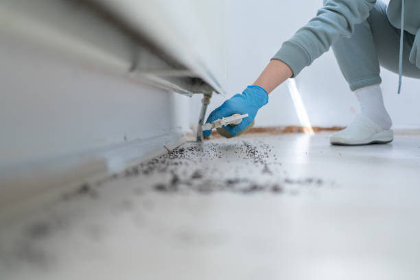 Best Commercial Pest Control Services  in Weldon, CA